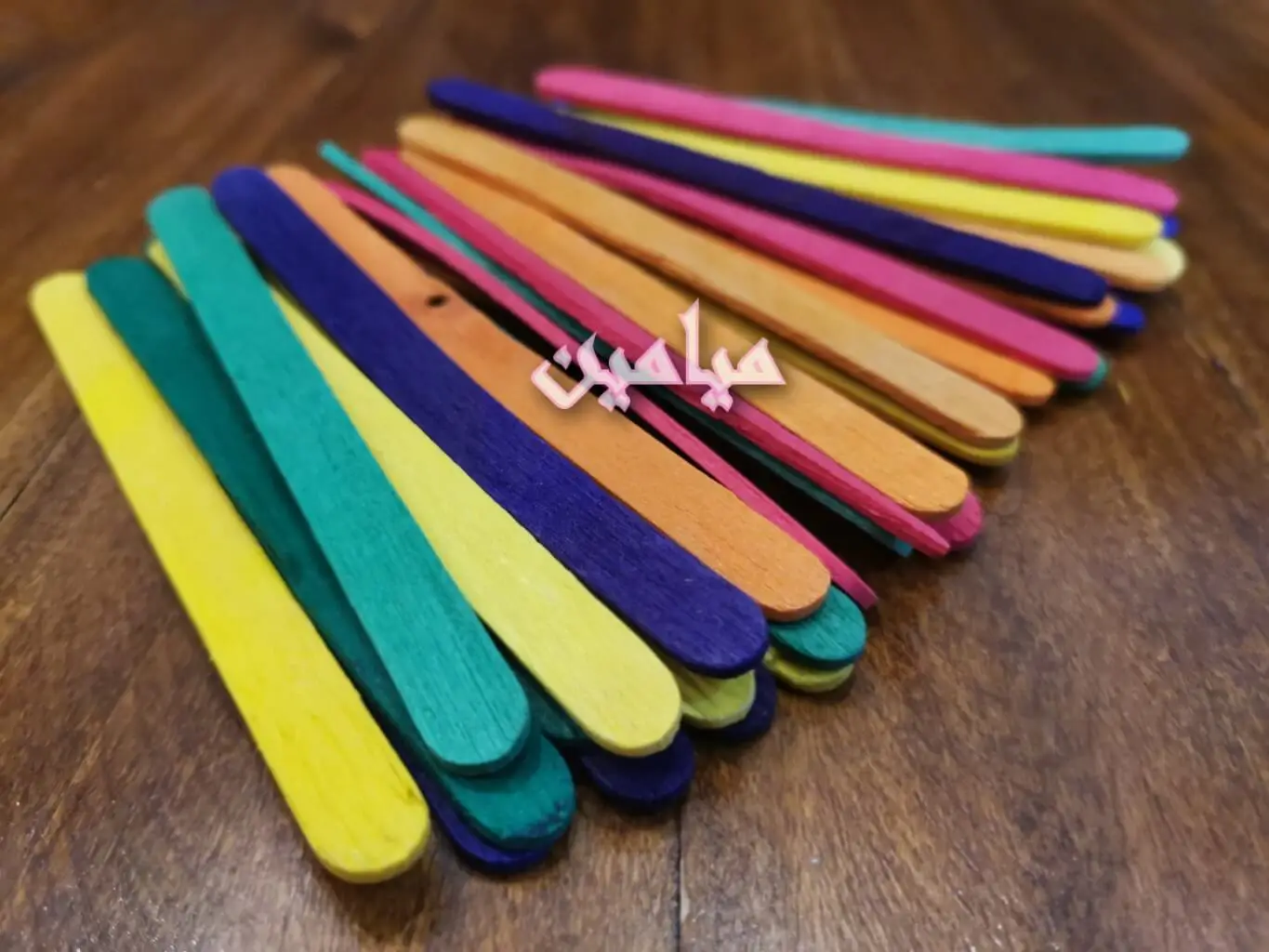 PhotoGrid_Plus_1695443958667